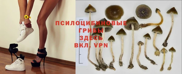 jwh Краснослободск