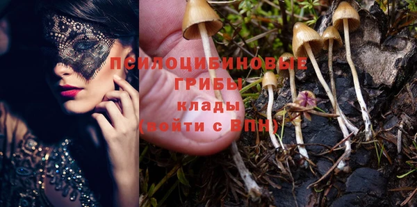 jwh Краснослободск