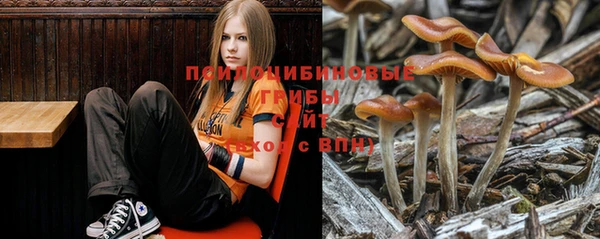 jwh Краснослободск