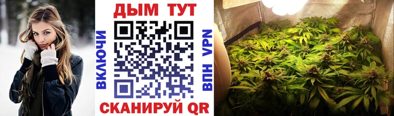 Канабис конопля  Купить закладки  Краснодар 